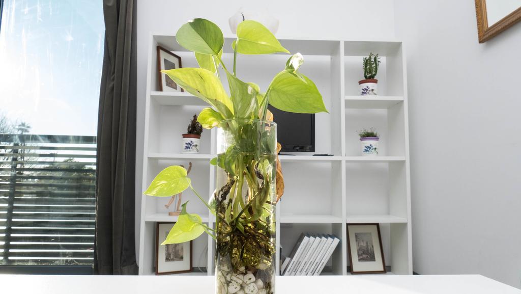 Apartamento La Calahorra Córdoba Exteriör bild