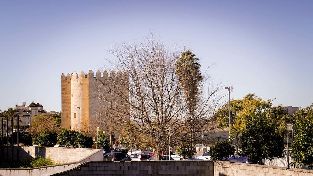 Apartamento La Calahorra Córdoba Exteriör bild